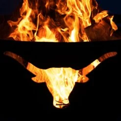 Fire Pit Art LONHC Longhorn Gas Fire Pit -Empire Spinning Shop longhorn.1