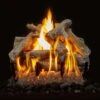 Grand Canyon Western Driftwood Gas Logs Only 1 Grand Canyon Western Driftwood Gas Logs Only -Empire Spinning Shop wd 18